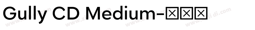 Gully CD Medium字体转换
